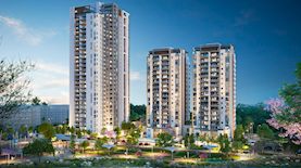 צילום: זיתוני הדמיות